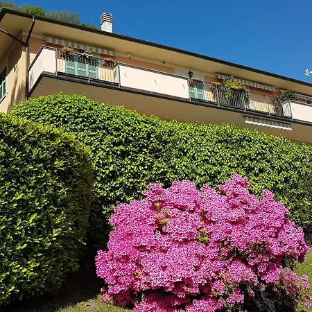 Appartement Cigno Brisino