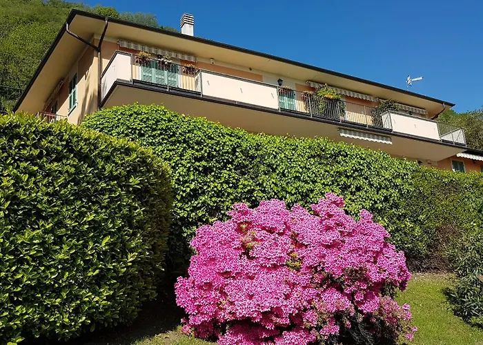 Апартаменты Cigno Brisino