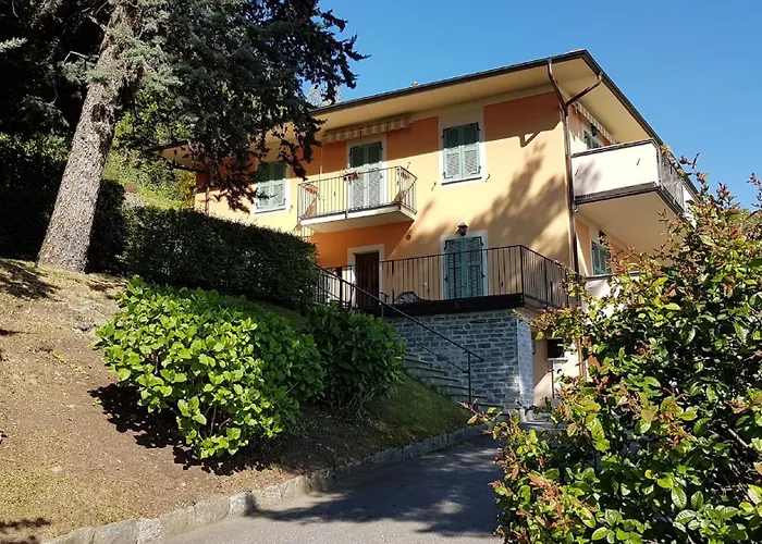 Cigno Brisino